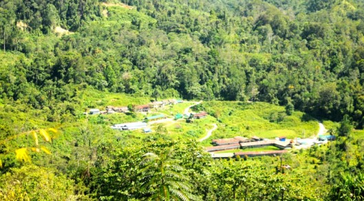 Masmindodwiarea
