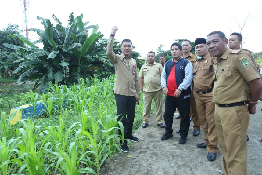 Optimalisasi Program KKBPK
