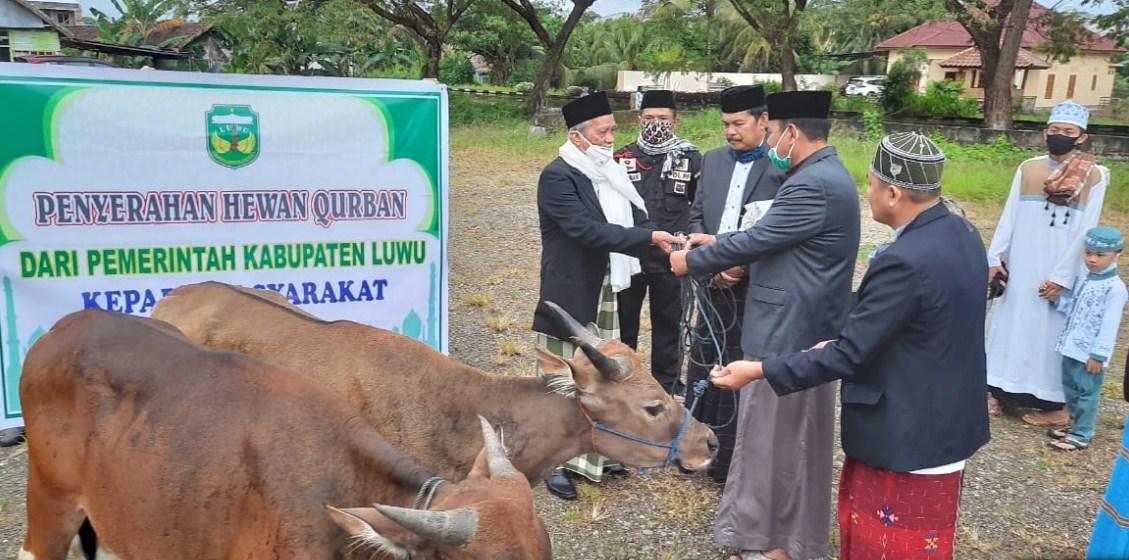 qurban